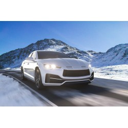 WhiteVision ultra - Luces blancas H4 Y 5W 2