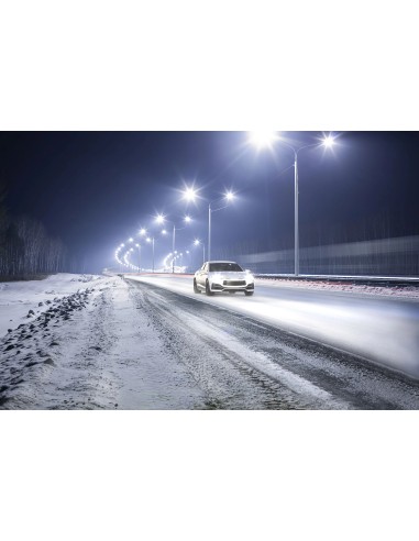 WhiteVision ultra - Luces blancas  H7 Y 5W  coche nieve