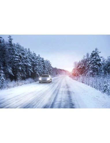 WhiteVision ultra - Luces blancas  H7 Y 5W coche